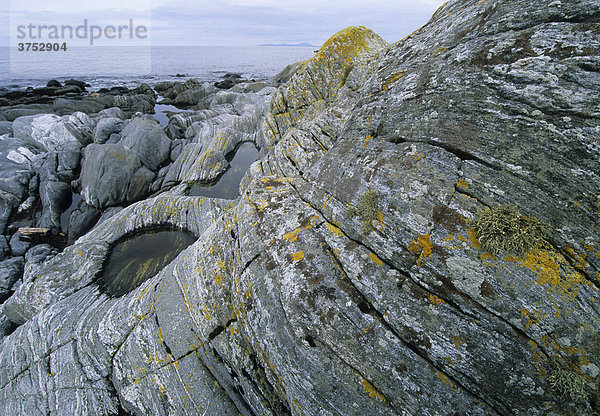 Linienartig geschichtete Felsformation mit gelben Flechten an der Küste  Insel Runde  More og Romsdal  Norwegen  Skandinavien  Europa