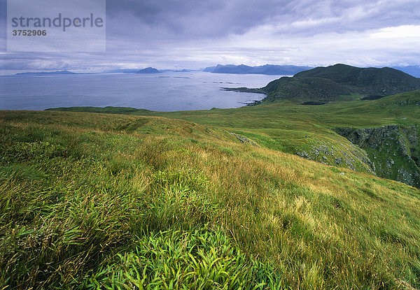 Blick über ein weites Grasland von der Vogelinsel Runde auf das Meer  More og Romsdal  Norwegen  Skandinavien  Europa