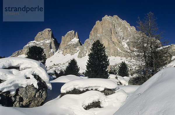 Langkofel  Sasso Lungo im Winter  Dolomiten  Südtirol  Italien  Europa