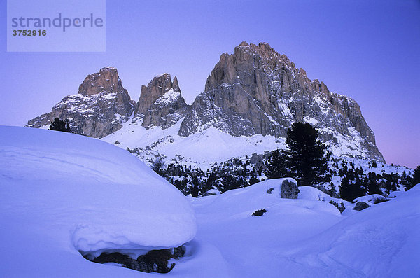 Morgendämmerung am Langkofel  Sasso Lungo im Winter  Dolomiten  Südtirol  Italien  Europa