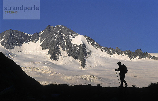 Silhouette eines Bergwanderers vor einem Gletscher im Abendlicht  Zillertaler Alpen  Tirol  Österreich  Europa