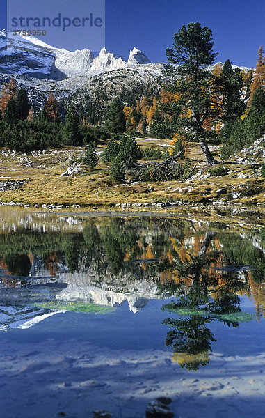 Spiegelung im Grünsee  Lago Verde  Bergsee  Herbst  Fanes Sennes Prags Naturpark  Südtirol  Italien  Europa