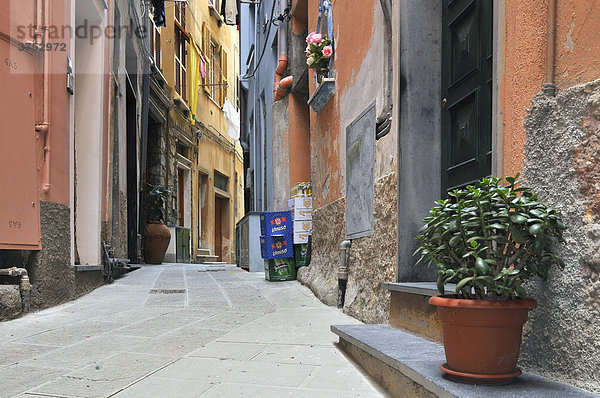 Alley in Vernazzo  Ligurien  Cinque Terre  Italy  Europe