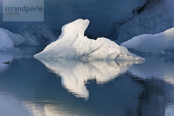 Eisberge im Abendlicht  Gletschersee Jökulsarlon  Südküste  Island