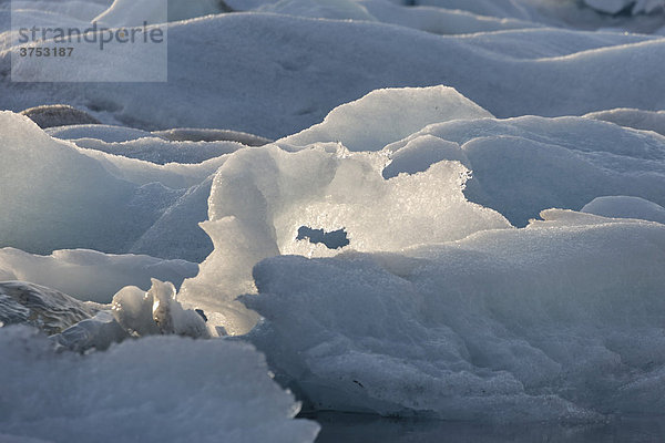 Eisberge im Abendlicht  Gletschersee Jökulsarlon  Südküste  Island