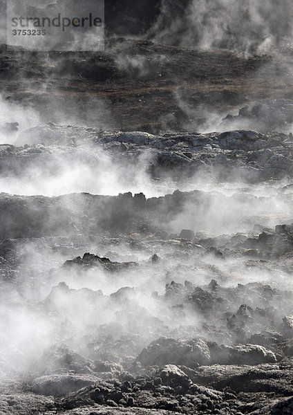 Rauchendes Lavafeld vom Ausbruch im Jahre 1984  Vulkangebiet der Krafla  Myvatn  Nordisland  Island