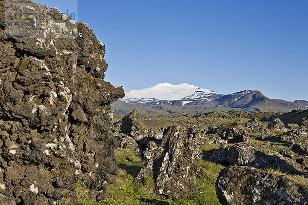Lavafeld und dahinter Snaefellsnessjökull (Jules Verne Reise zum Mittelpunkt der Erde)  Snaefellsness Halbinsel  Island