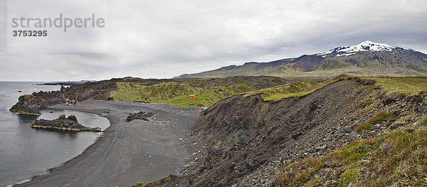 Küste mit bizarren Lavaformationen und dem Snaefellsjökull  DjupalÛnssandur  Snaefellsness Halbinsel  Island