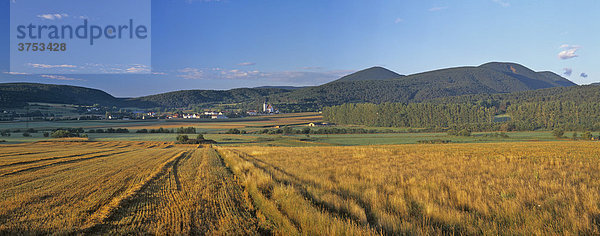 Ort Grillenberg am Morgen und Getreidefeld  Triestingtal  Niederösterreich  Österreich