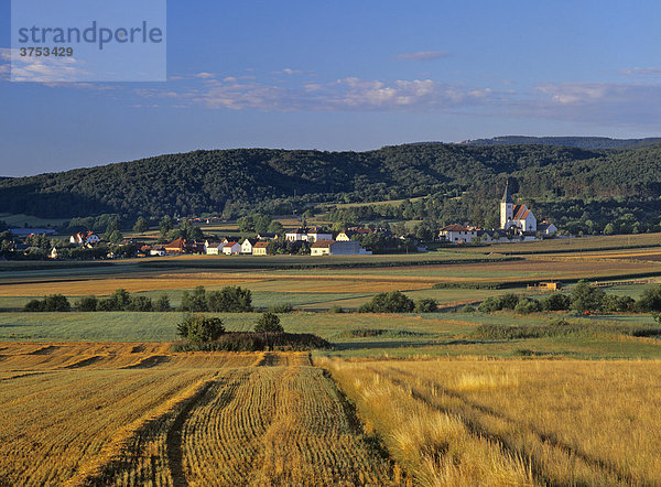 Ort Grillenberg am Morgen und Getreidefeld  Triestingtal  Niederösterreich  Österreich