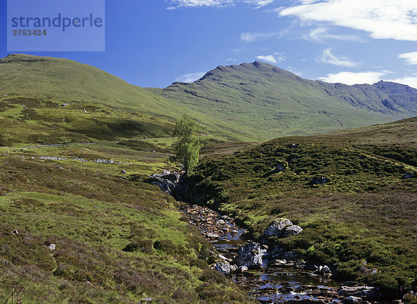 Bachlauf und dahinter Ben Lawers  Schottland  Großbritannien