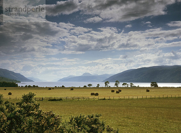 Blick auf Loch Ness  Schottland  Großbritannien