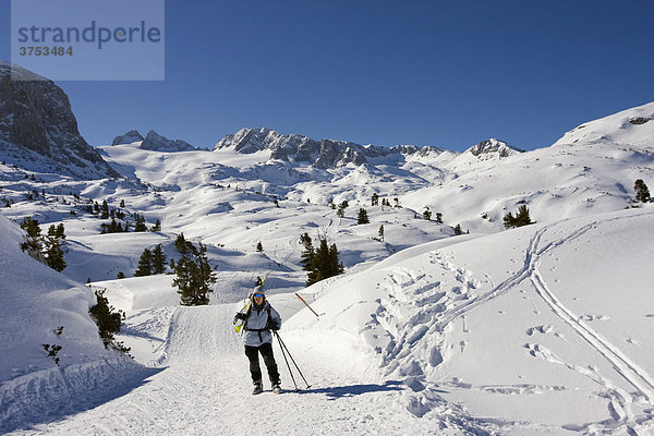 Schitourengeherin trägt ihre Ski  dahinter Hoher Dachstein  Niederer Dachstein und Schöberl  Dachstein  Steiermark  Österreich