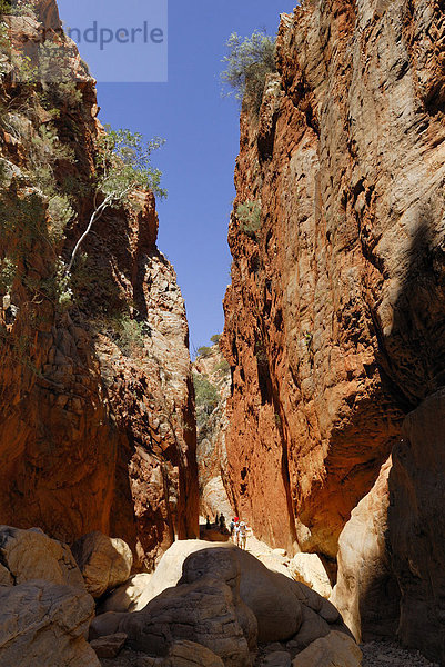 Schluchtweg  Standley Chasm  West Macdonnell Ranges  Northern Territory  Australien