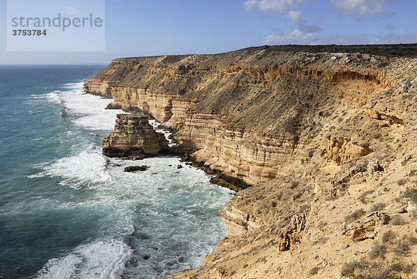 Steilküste mit Island Rock  Kalbarri Nationalpark  Western Australia  Australien