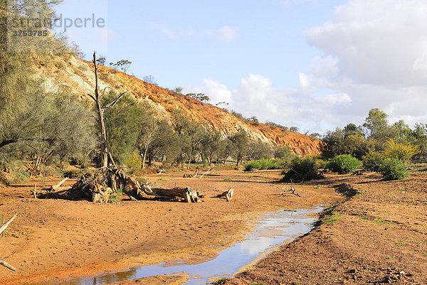 Flussbett des Irvin River  Coalseam Reserve  Western Australia  Australien