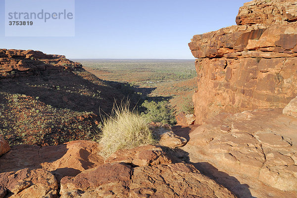 Blick vom Kings Canyon Rim auf die Ebene des Watarrka Nationalpark  Northern Territory  Australien