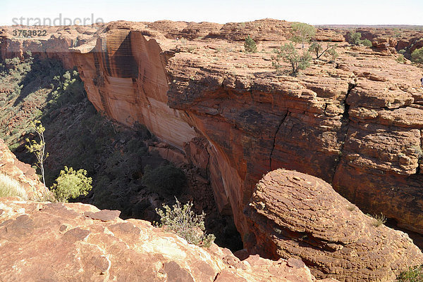 Blick in den Kings Canyon  Watarrka Nationalpark  Northern Territory  Australien