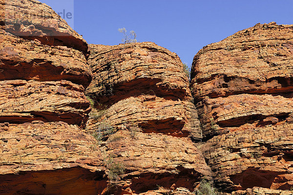 Gesteinsformation im Kings Canyon  Watarrka-Nationalpark  Northern Territory  Australien