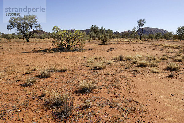 Im Outback in den East Macdonnell Ranges  Northern Territory  Australien
