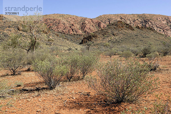 Outback-Landschaft in den East Macdonnell Ranges  Northern Territory  Australien