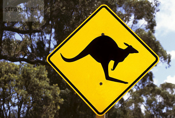Känguru-Warnschild  Queensland  Australien