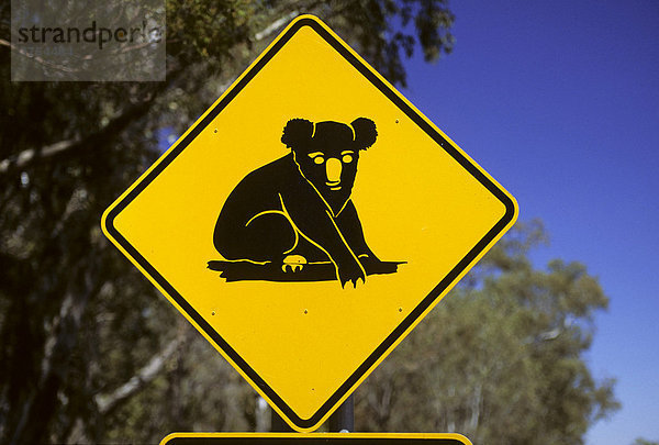 Koala-Warnschild  Queensland  Australien