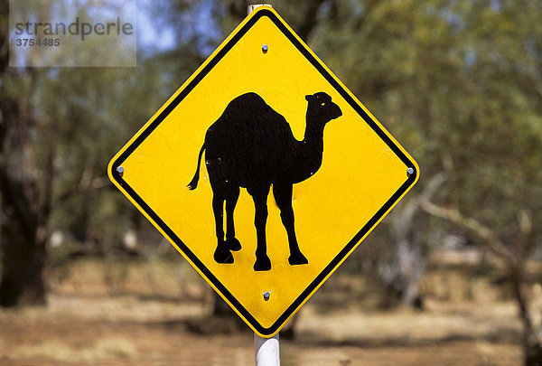 Dromedar  Kamel -Warnschild  Northern Territory  Australien