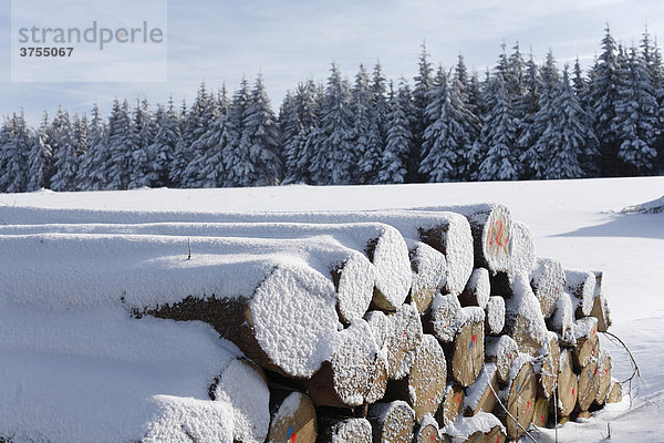 Snow-covered logs  Mt. Heidelstein  Lange Rhoen  Lower Franconia  Bavaria  Germany  Europe