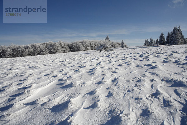 Kreuzberg bei Bischofsheim  Rhön  Unterfranken  Franken  Bayern  Deutschland