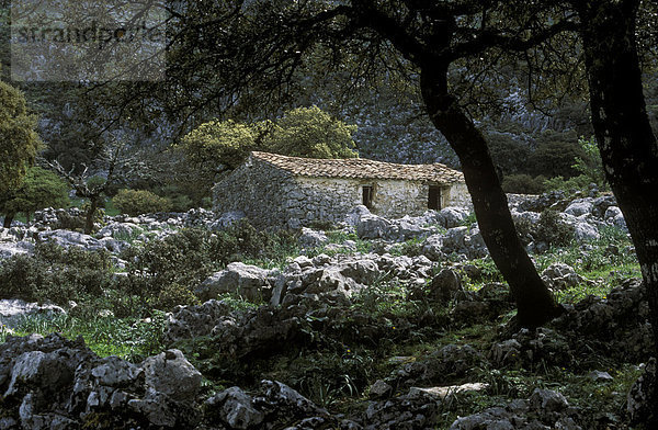 Cortijo de la Fuentezuela  Sierra de Grazalema  C·diz Province  Andalusia  Spain