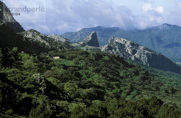 Salto del Cabrero  Sierra de Grazalema  Provinz CadÌz  Andalusien  Spanien