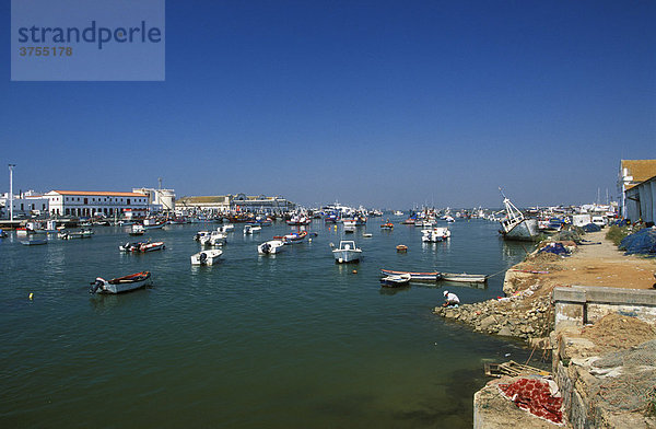 Isla Cristina  Fischerhafen  Provinz Huelva  Costa de la Luz  Andalusien  Spanien