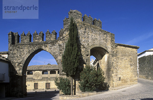 Plaza del PÛpulo  Stadttore Puerta de JaÈn und Arco de Villalar Baeza  Provinz Jaen  Andalusien  Spanien