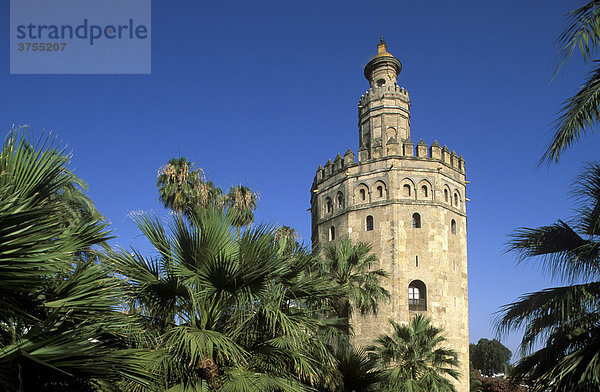 Torre del Oro (Goldturm)  Sevilla  Andalusien  Spanien