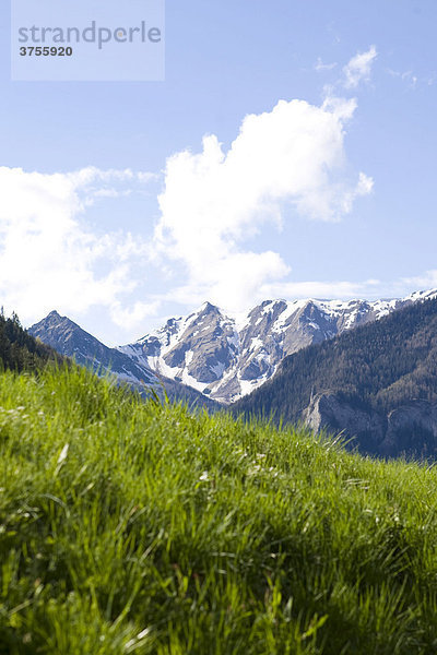 Eisenerzer Alpen  Steiermark  Österreich  Europa