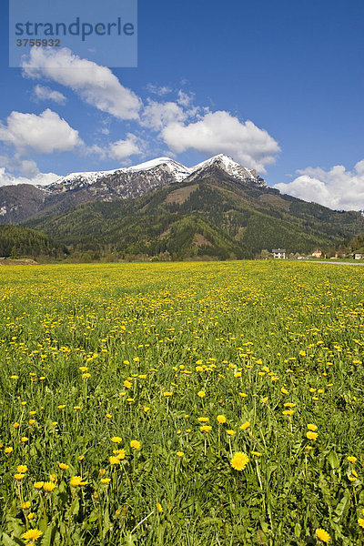 Bergmassiv des Reiting in den Eisenerzer Alpen  Steiermark  Österreich  Europa