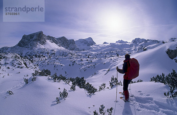 Schneeschuhgeherin vor dem Massiv des Hohen Dachstein  2995m  Steiermark  Österreich  Europa