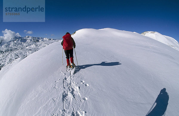 Schneeschuhgeherin im Aufstieg zum Speikberg  Dachstein-Region  Steiermark  Österreich  Europa