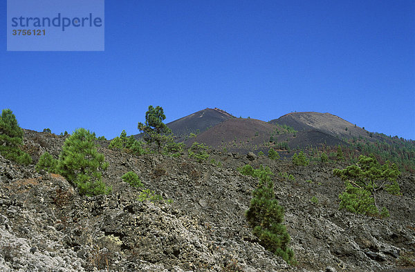 Cumbre Vieja  Volc·n MartÌn  Ruta de los Volcanes  La Palma  Kanarische Inseln