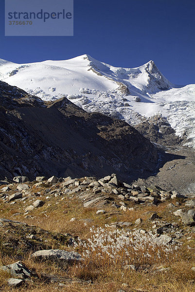 Hoher Zaun und Schwarze Wand  NP Hohe Tauern  Osttirol  Österreich  Europa