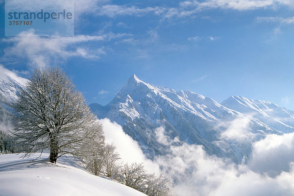 Brandberg  Zillertal  Tirol  Österreich  Europa