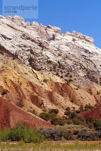 Dinosaur National Monument  Utah  USA