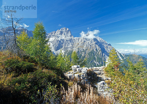 Rotwandwiesen  Dreischusterspitze und Gsellknoten  Sextener Dolomiten  Südtirol  Italien  Europa