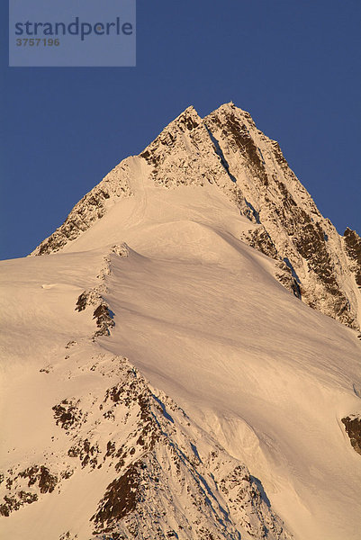 Großglockner  von Franz-Josefs-Höhe aus gesehen  Glocknergruppe  Kärnten  Österreich  Europa