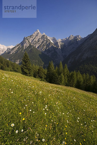 Huderbankspitze Ganalm  Vomperloch  Karwendelgebirge  Tirol  Österreich  Europa