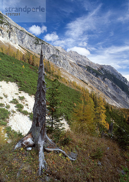 Isstal  Bettelwurf  Fallbachkar-Spitze  Halltal  Karwendelgebirge  Tirol  Österreich  Europa