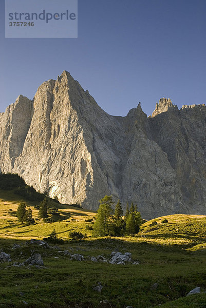 Laliderer Wände (von Ladiz-Alm aus gesehen) Karwendel-Gebirge  Tirol  Österreich  Europa