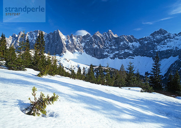 Laliderer Wände  Karwendelgebirge  Tirol  Österreich  Europa