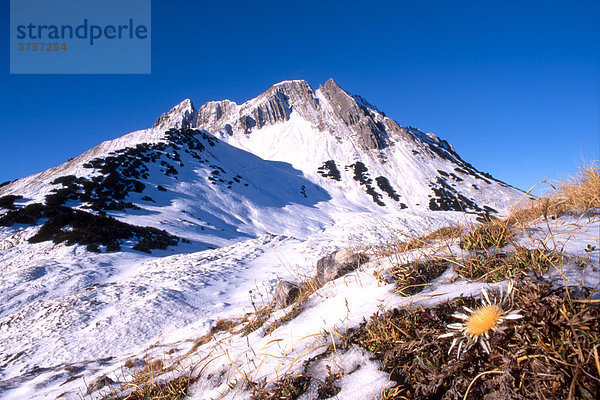 Mondscheinspitze  Karwendelgebirge  Tirol  Österreich  Europa